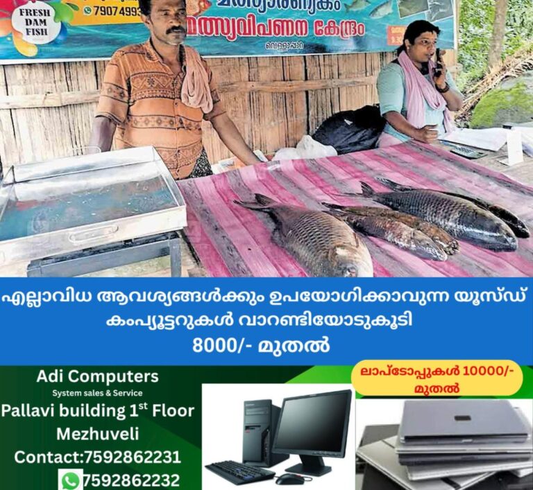 newskerala.net_1759640103_idukki-fish-sale