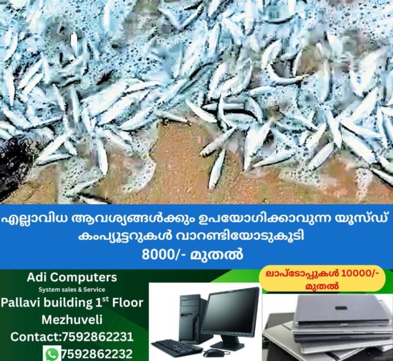 newskerala.net_1759643066_payyambalm-fish