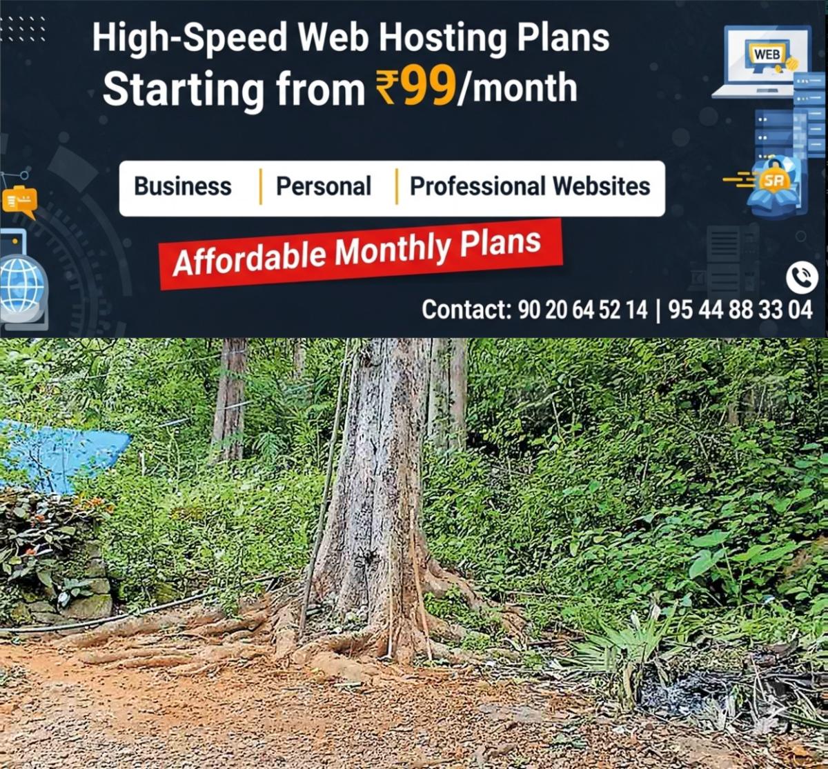 newskerala.net_1759644249_idukki-thek-issue