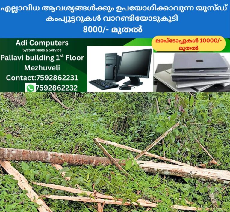 newskerala.net_1759647016_wild-elephant-attack-nadapuram