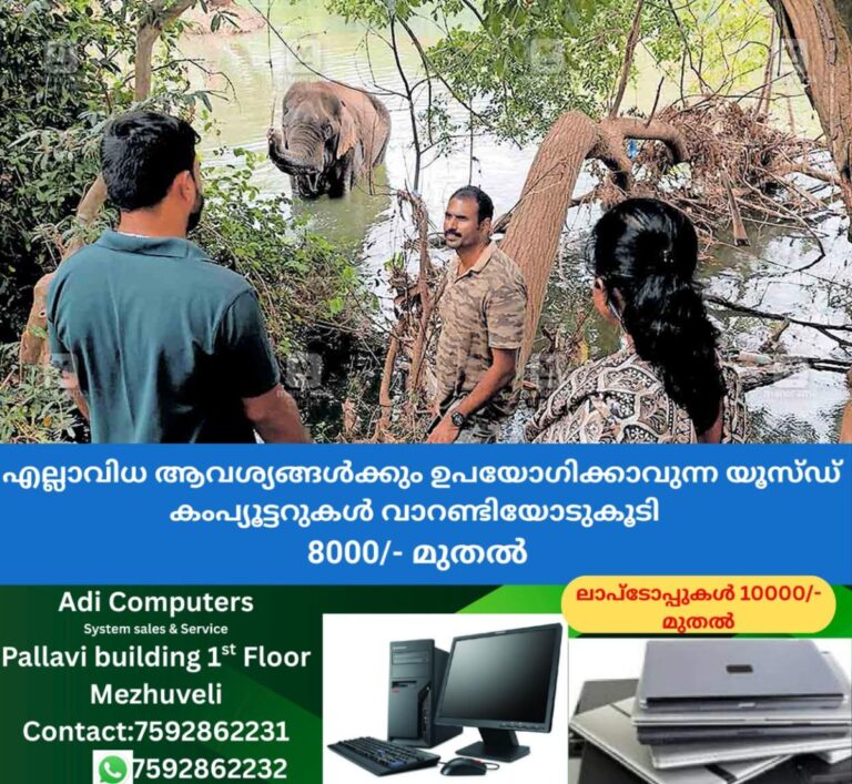 newskerala.net_1759651106_agali-injured-elephant