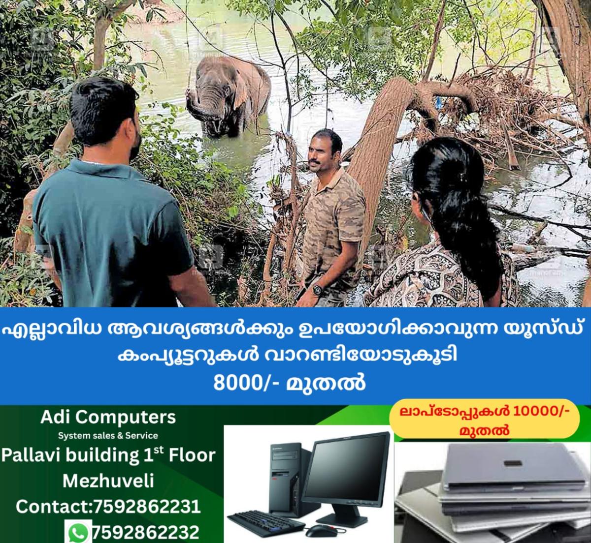 newskerala.net_1759651106_agali-injured-elephant