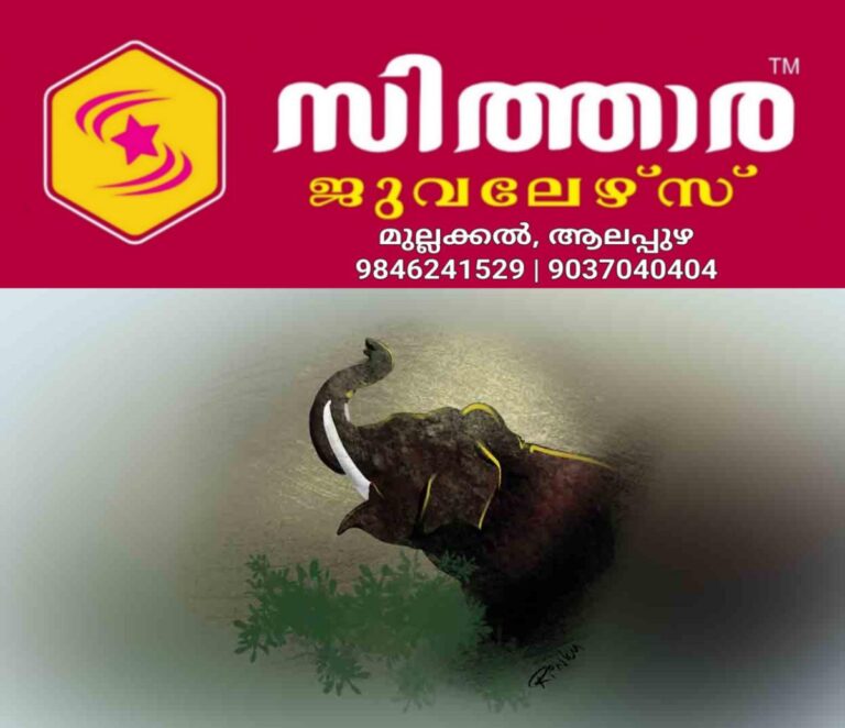 newskerala.net_1759726325_ernakulam-wild-elephant-sketch