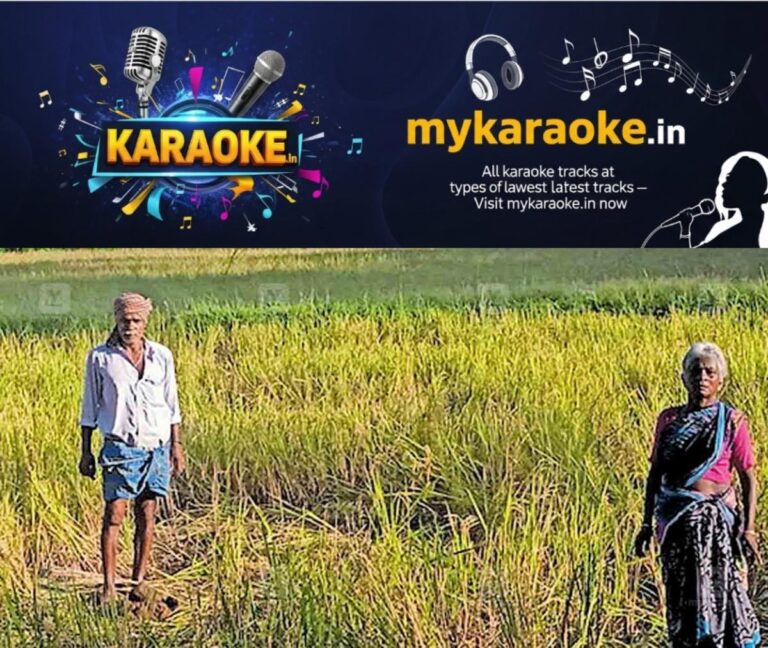 newskerala.net_1759728745_palakkasd-wild-elephant-attack-paddy-crop-damage