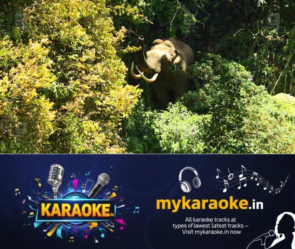newskerala.net_1759732465_padayappa