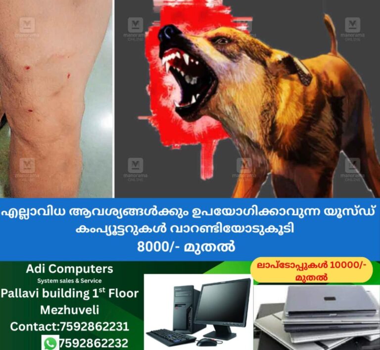 newskerala.net_1759733286_stray-dog-stage-attack