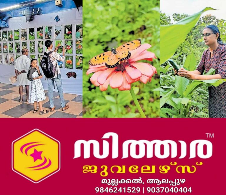 newskerala.net_1759735443_butterfly-photography
