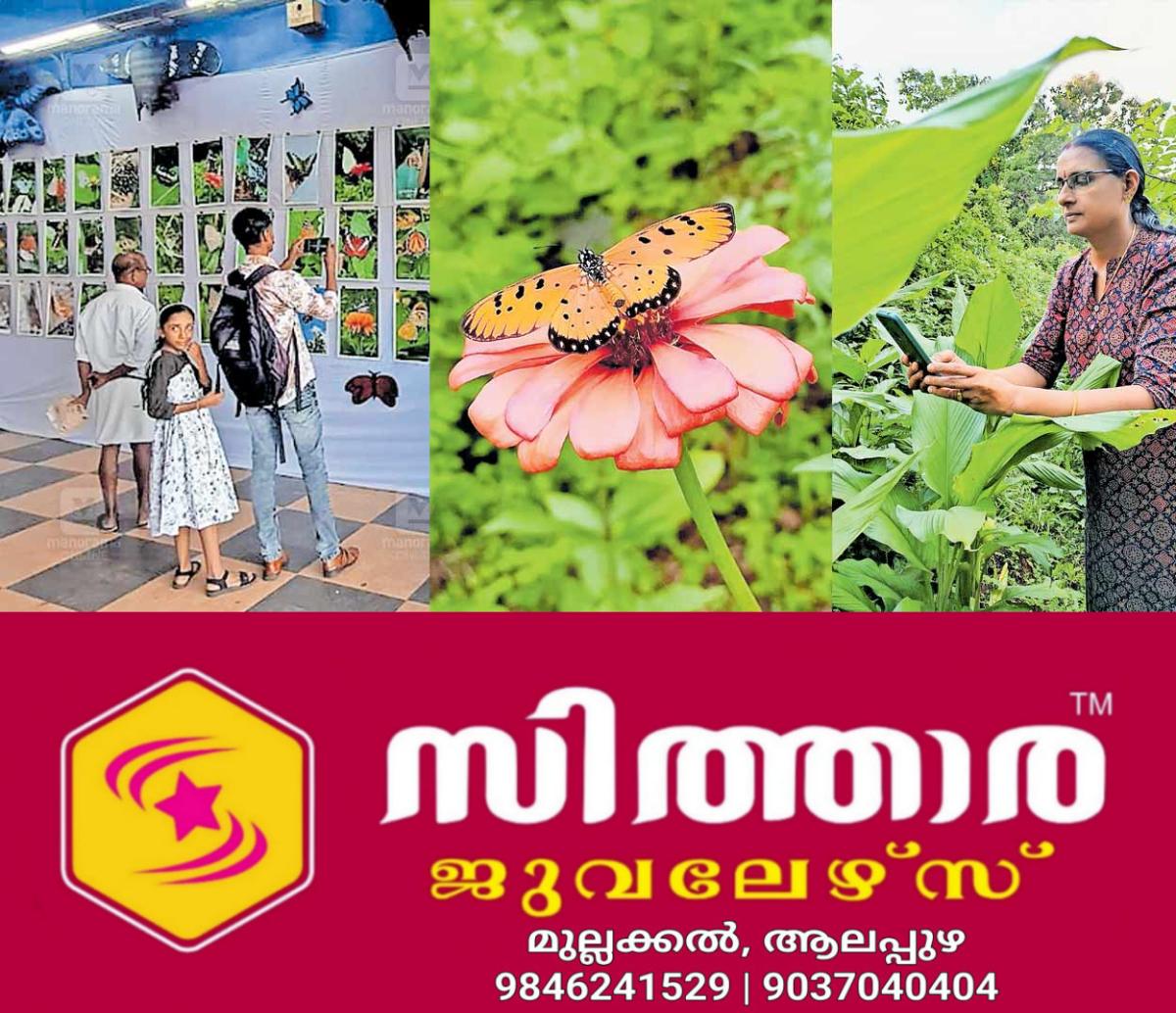 newskerala.net_1759735443_butterfly-photography