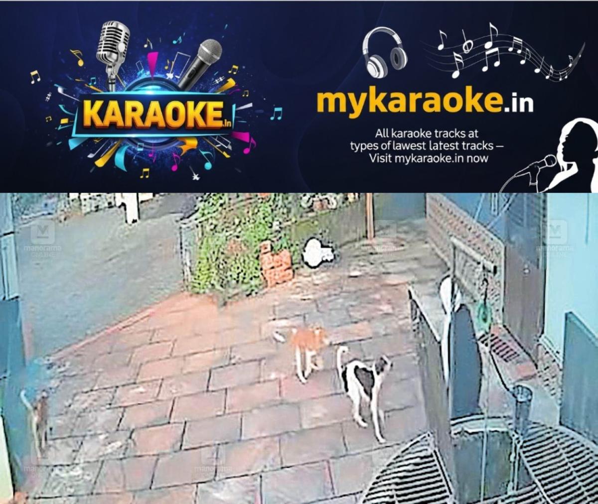 newskerala.net_1759737504_student-escapes-dog-attack