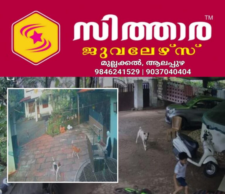 newskerala.net_1759746263_1759746148_stray-dog-attack
