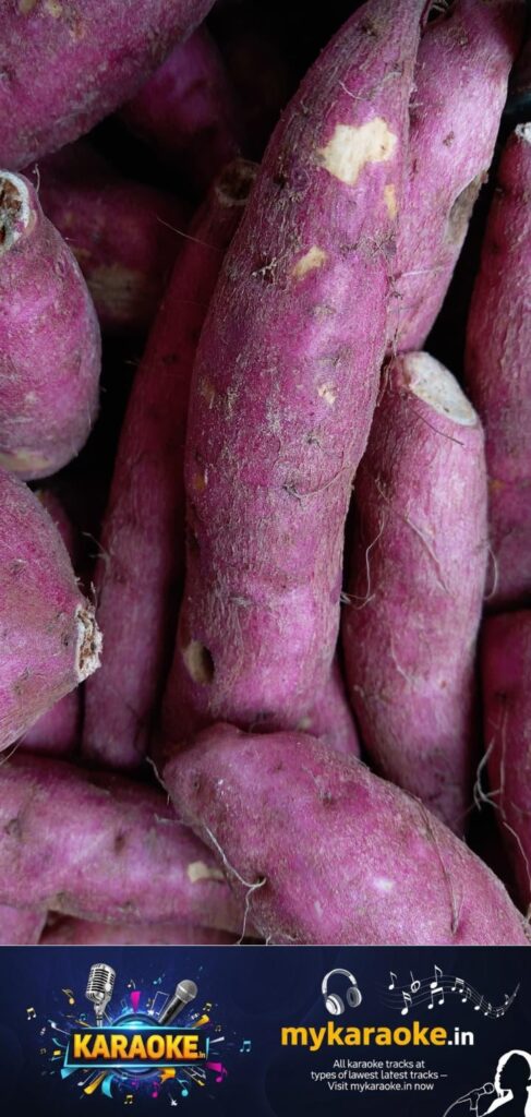 newskerala.net_1759763223_w-720h-1280format-jpgimgid-01h3k4ws4apqfadtej6a4tx050imgname-sweet-potato-1687491077258