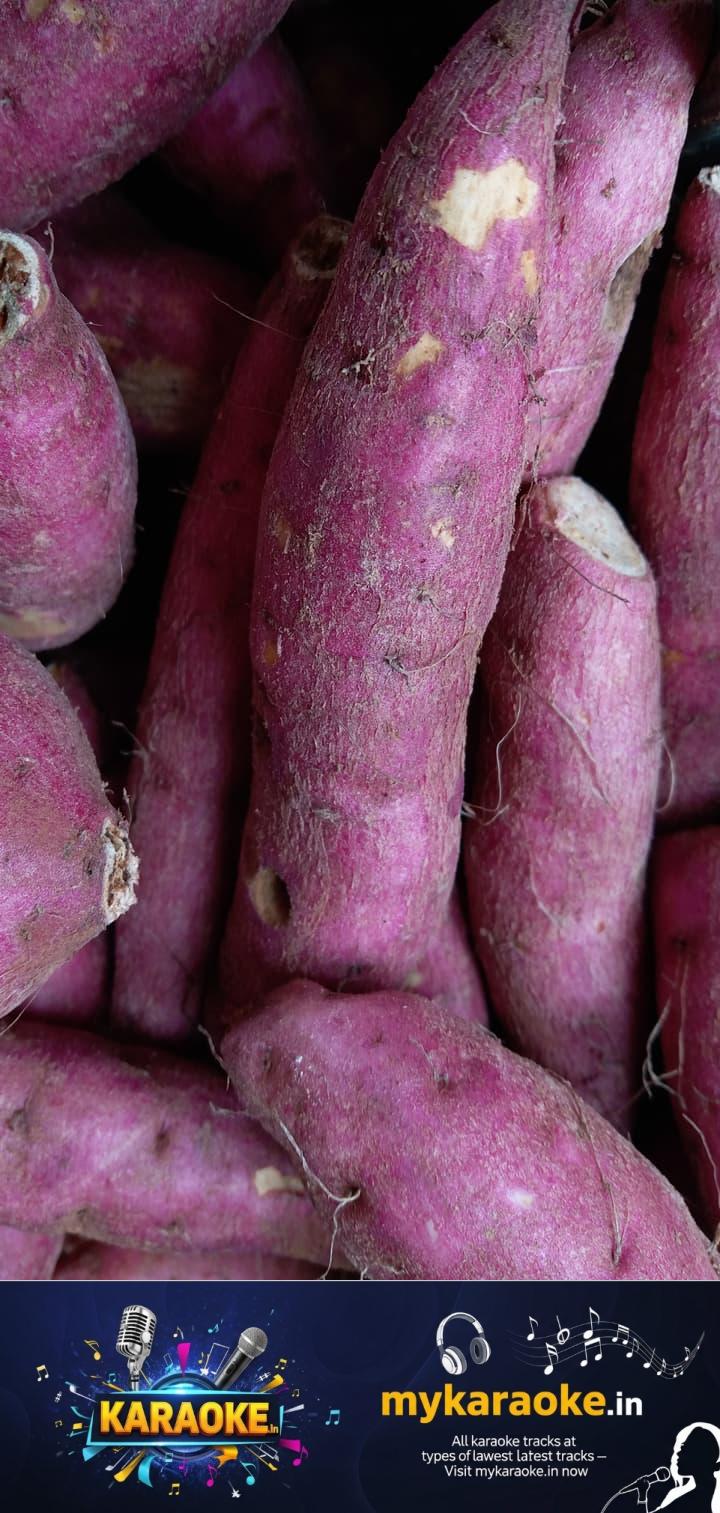 newskerala.net_1759763223_w-720h-1280format-jpgimgid-01h3k4ws4apqfadtej6a4tx050imgname-sweet-potato-1687491077258