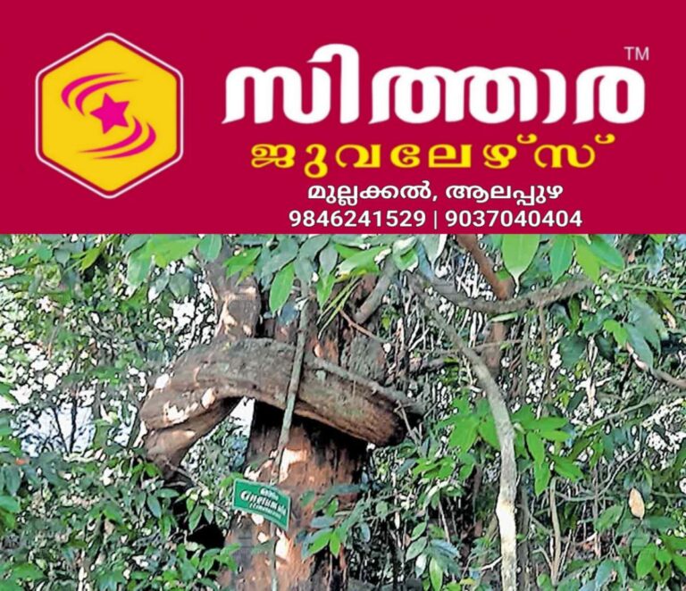 newskerala.net_1759791542_kalamassery-wild