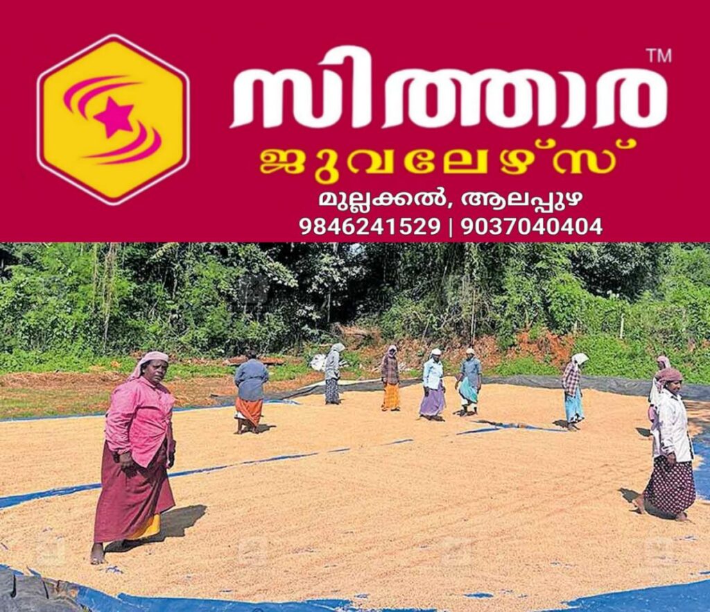 newskerala.net_1759793902_palakkad-rice