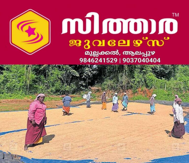 newskerala.net_1759793902_palakkad-rice