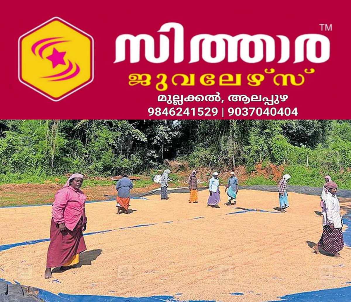 newskerala.net_1759793902_palakkad-rice