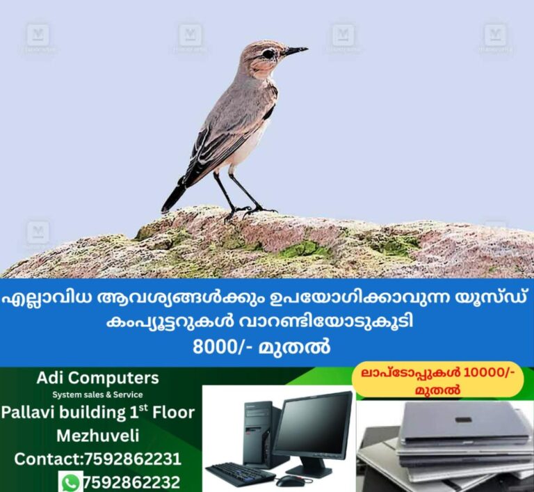 newskerala.net_1759795225_sparrow