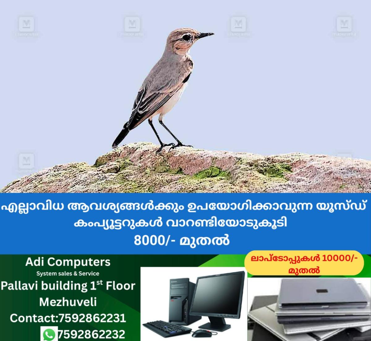 newskerala.net_1759795225_sparrow