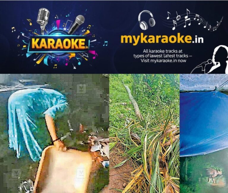 newskerala.net_1759811103_wild-animal-attack