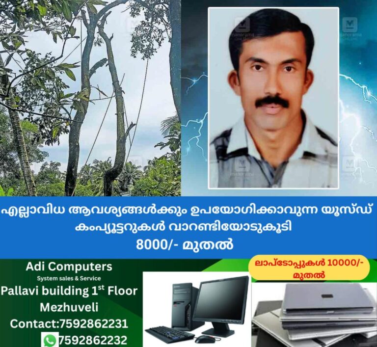 newskerala.net_1759813945_haripad-lightning-strike-second-deat