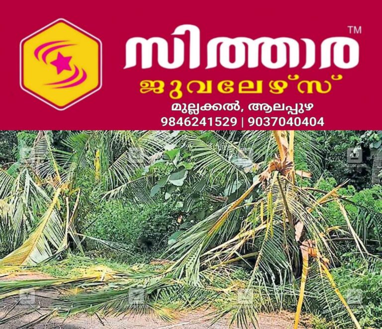 newskerala.net_1759816824_wadakkanchery-wild-elephant