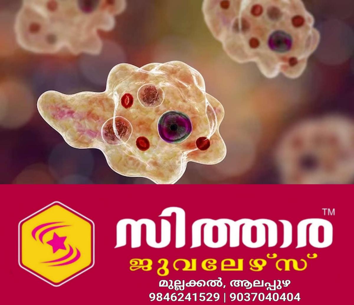 newskerala.net_1759851262_amoebic-meningoencephalitis-0507