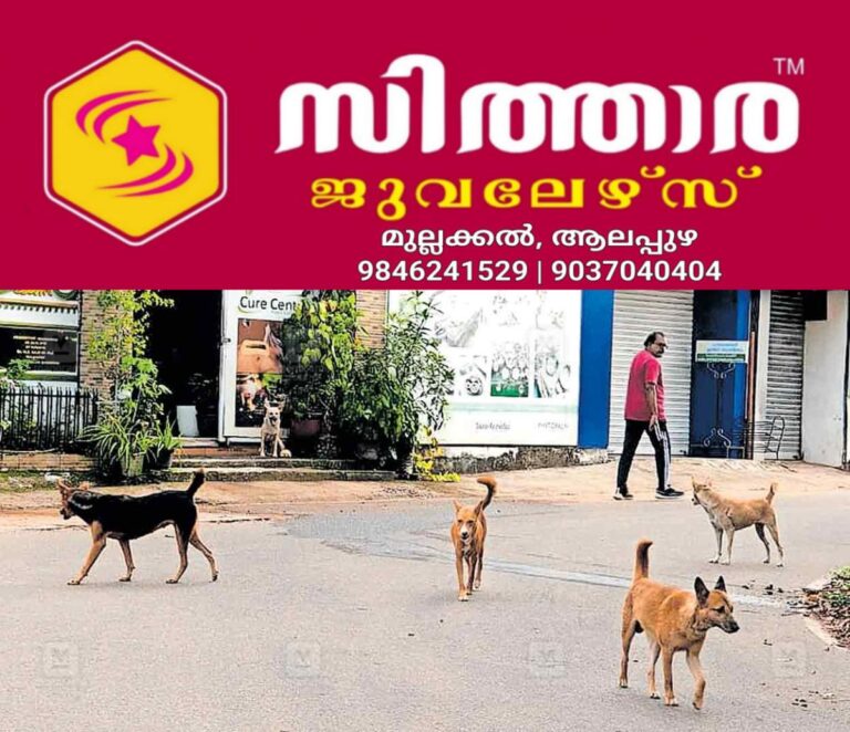 newskerala.net_1759891982_stray-dogs