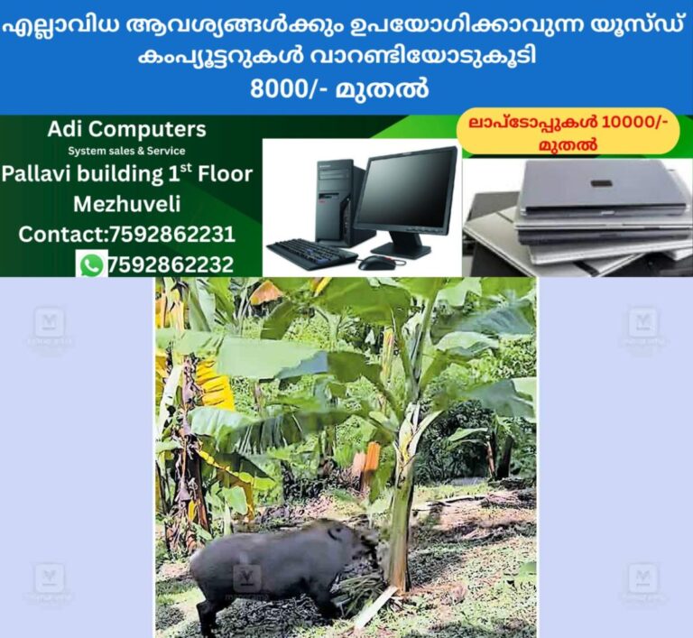 newskerala.net_1759898223_wild-boar-issue