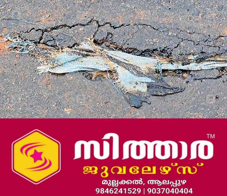newskerala.net_1759900086_killi-mechira-road-issue