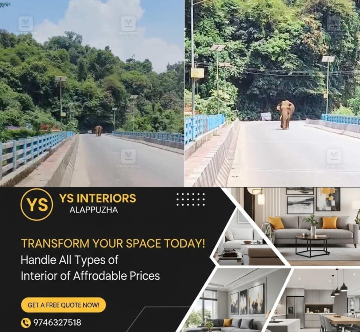 newskerala.net_1759916404_wild-elephant-blocks-iritty-road