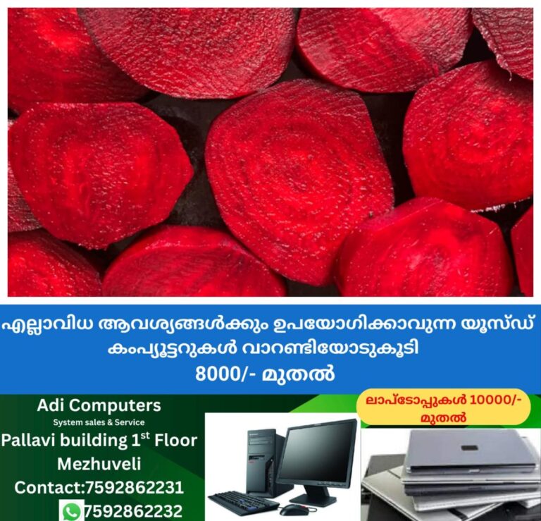 newskerala.net_1759942084_w-1280h-720format-jpgimgid-01k72b5ax8kmmc61ezabr1dvr3imgname-fotojet-2025-10-08t221045.534-175