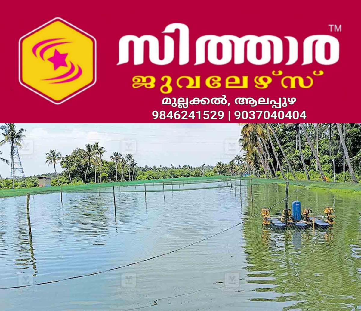newskerala.net_1759976905_thrissur-prowns-farming