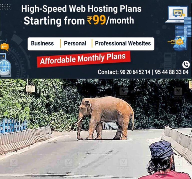 newskerala.net_1759977382_kannur-iritty-wild-elephant