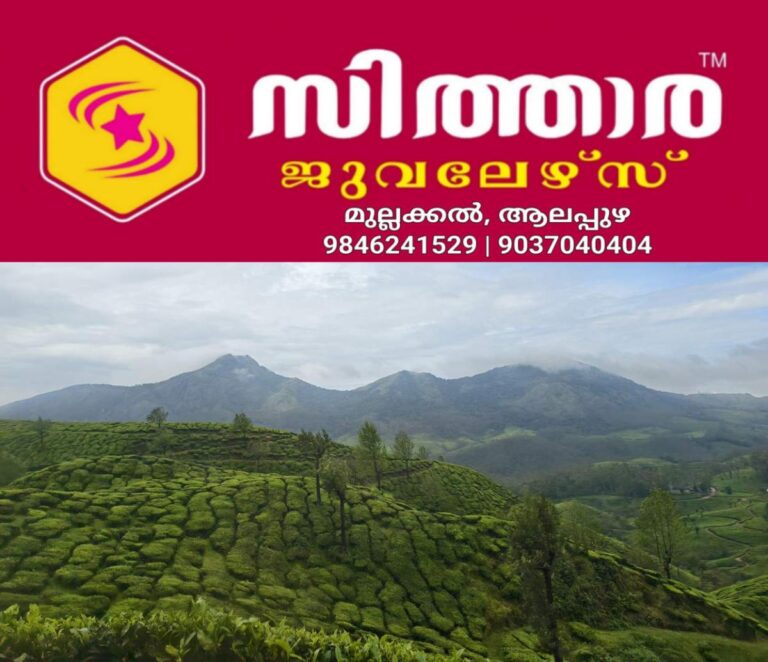 newskerala.net_1759980784_munnar-devikulam-3