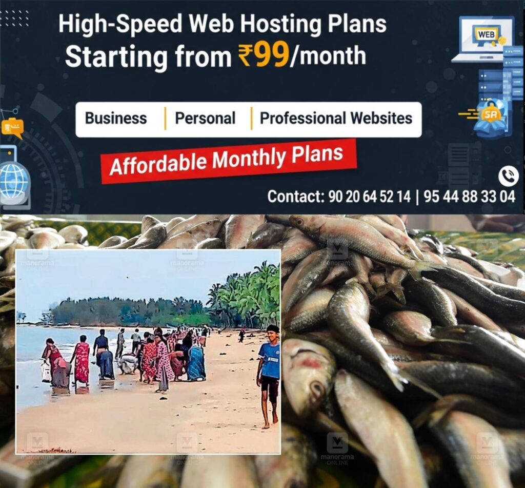 newskerala.net_1760063905_sardine-abundance-valiyaparamba-1