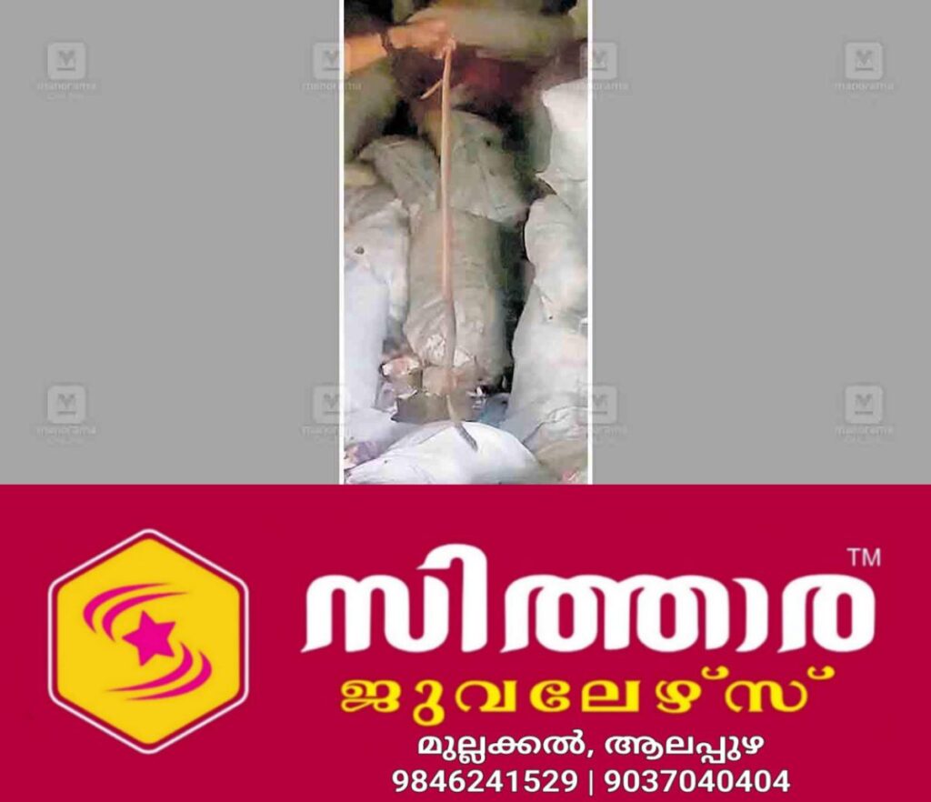 newskerala.net_1760075767_snake-in-mcf