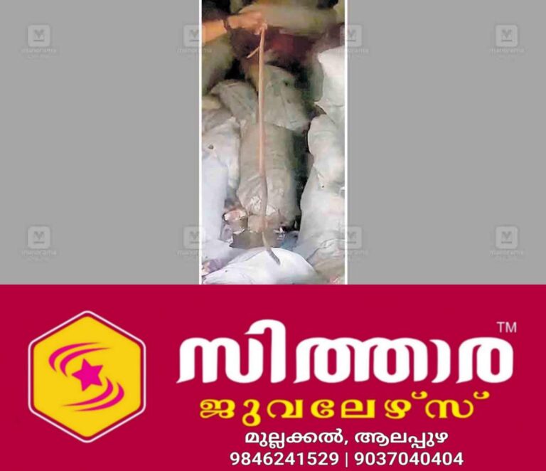 newskerala.net_1760075767_snake-in-mcf