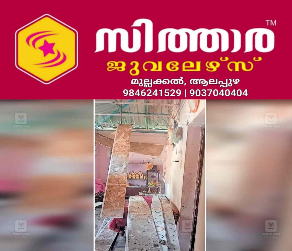 newskerala.net_1760081344_paloode-attack-monkey-