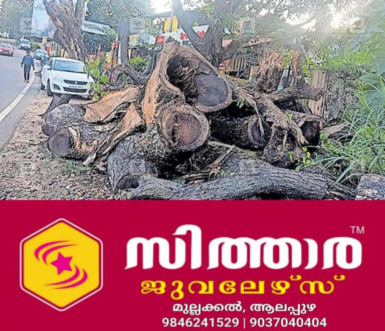 newskerala.net_1760082184_palakkad-wadakkancherry-wood-threat