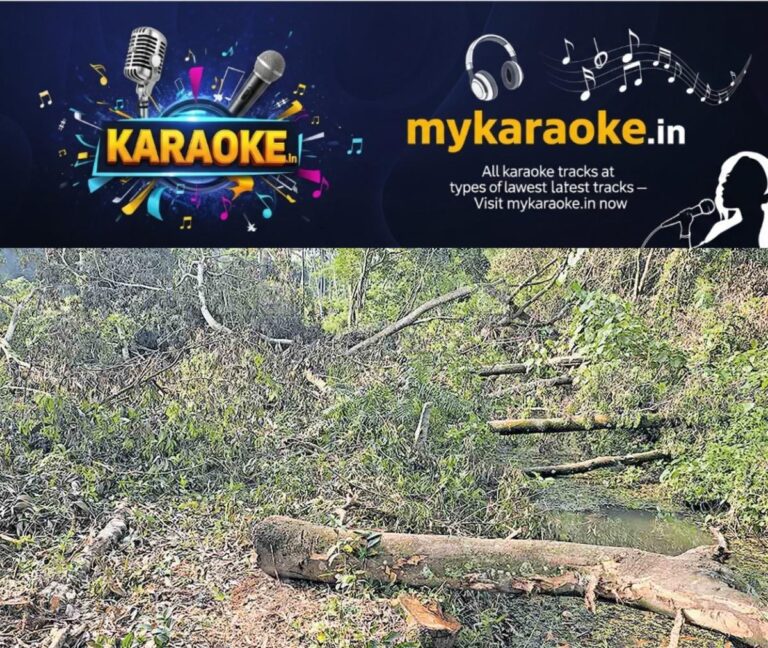 newskerala.net_1760083582_kollam-sasthamcotta-lake-bund-tree-cut-down