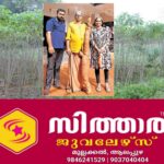 newskerala.net_1760084429_TAPIOCA-FARMING-1