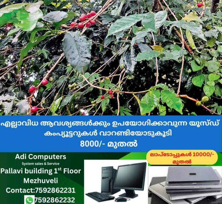 newskerala.net_1760130310_marayur-kappikuru