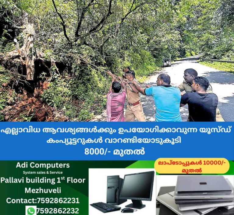 newskerala.net_1760165806_pathanamthitta-tree-cutting