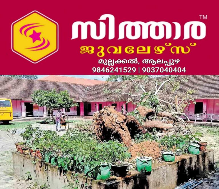 newskerala.net_1760172076_pahanamthitta-tree-accident-school
