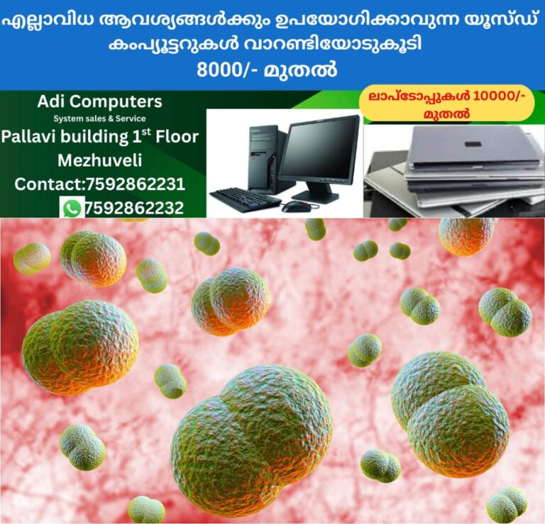 newskerala.net_1760202612_w-1280h-720format-jpgimgid-01k4t8114ycjv3ym77d4ecp4ehimgname-fotojet-16-1757522461853