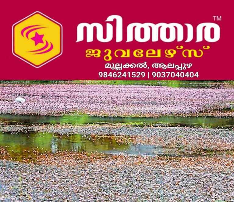 newskerala.net_1760237424_parapur-flower