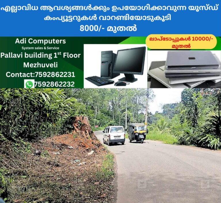 newskerala.net_1760247545_danger-tree-in-road