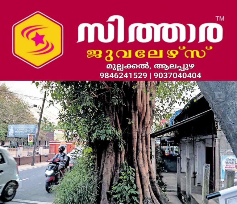 newskerala.net_1760249893_vypin-baniyan-tree