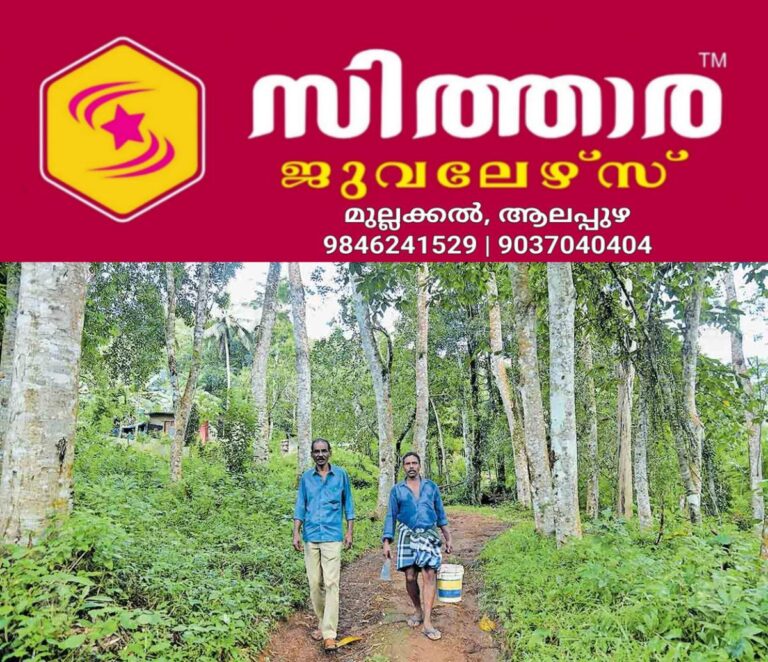 newskerala.net_1760251454_kollam-forest-area