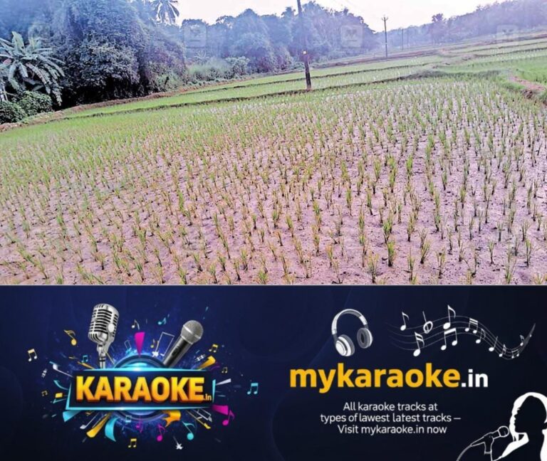 newskerala.net_1760252225_edappalam-paddyfields